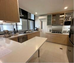 The Colonnade (D10), Condominium #583377081